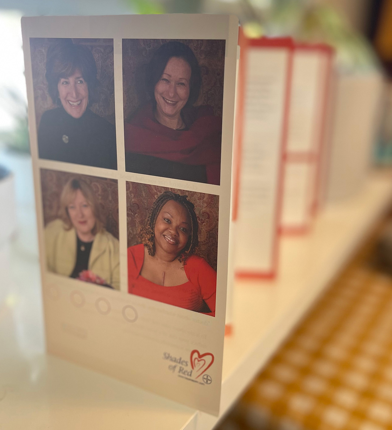 Portrait panels inside the Shades of Red brochure