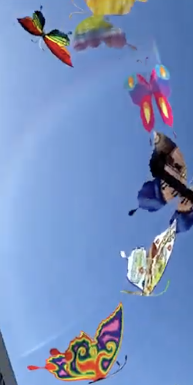 Community-created butterflies in augmented reality